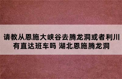 请教从恩施大峡谷去腾龙洞或者利川有直达班车吗 湖北恩施腾龙洞